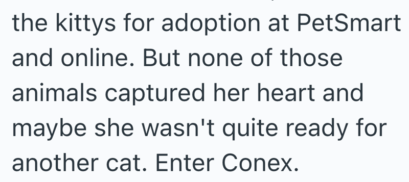 the kittys for adoption at PetSmart and online. But none of those animals captured her heart and maybe she wasn't quite ready for another cat. Enter Conex.
