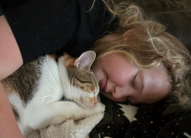 Cheezburger Image 10617577472