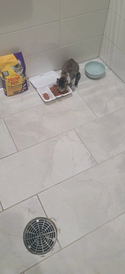 NOW Meon MIX Original Choler