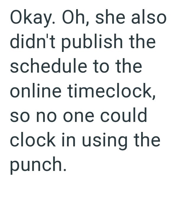 Okay. Oh, she also didn't publish the schedule to the online timeclock, so no one could clock in using the punch.