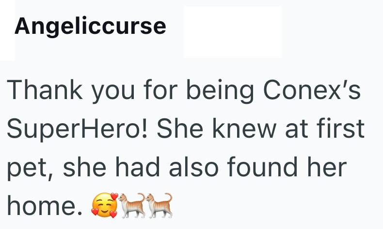 Angeliccurse Thank you for being Conex's SuperHero! She knew at first pet, she had also found her home.