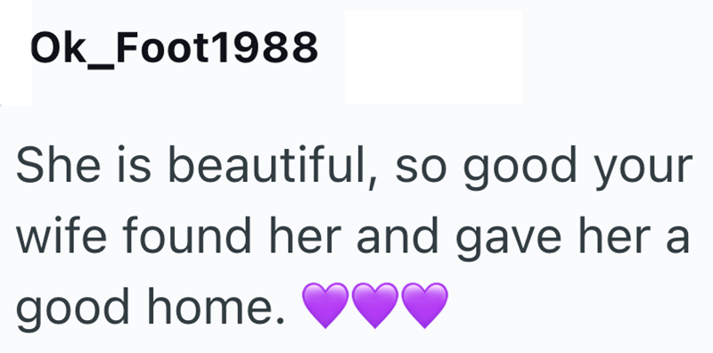 Ok_Foot1988 She is beautiful, so good your wife found her and gave her a good home.