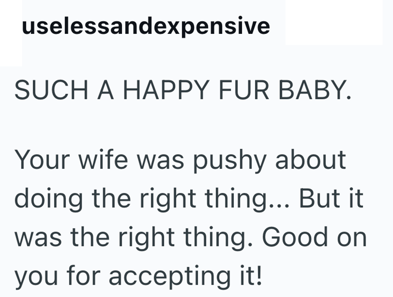 uselessandexpensive SUCH A HAPPY FUR BABY. Your wife was pushy about doing the right thing... But it was the right thing. Good on you for accepting it!