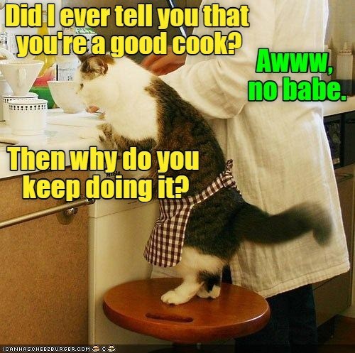 Cheezburger Image 10617594880