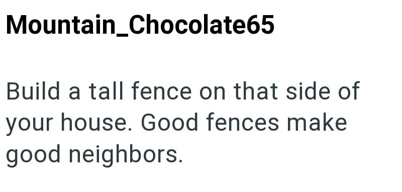 Mountain_Chocolate65 Build a tall fence on that side of your house. Good fences make good neighbors.