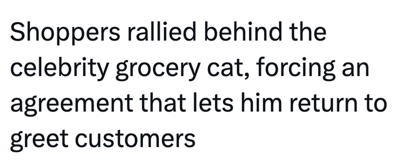Shoppers rallied behind the celebrity grocery cat, forcing an agreement that lets him return to greet customers