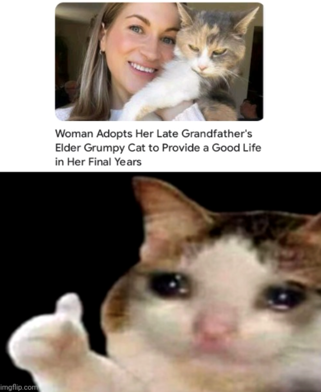 imgflip.com Woman Adopts Her Late Grandfather's Elder Grumpy Cat to Provide a Good Life in Her Final Years