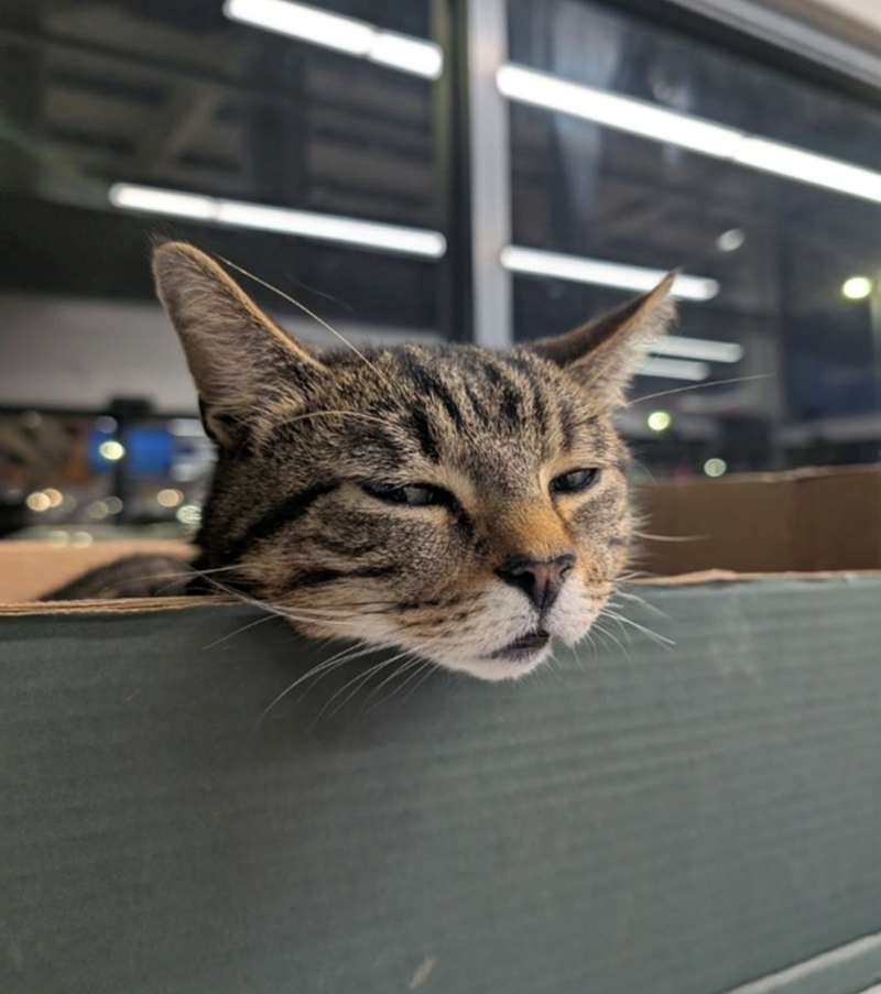 Cheezburger Image 10617607680