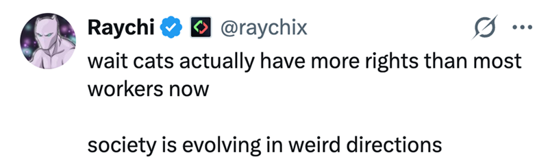Raychi @raychix ... wait cats actually have more rights than most workers now society is evolving in weird directions