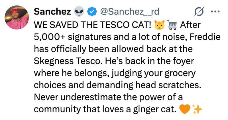 Sanchez @Sanchez_rd WE SAVED THE TESCO CAT! After 5,000+ signatures and a lot of noise, Freddie has officially been allowed back at the Skegness Tesco. He's back in the foyer where he belongs, judging your grocery choices and demanding head scratches. Never underestimate the power of a community that loves a ginger cat.