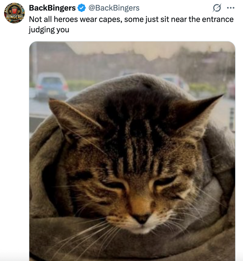 BackBingers @BackBingers BINGERS Not all heroes wear capes, some just sit near the entrance judging you