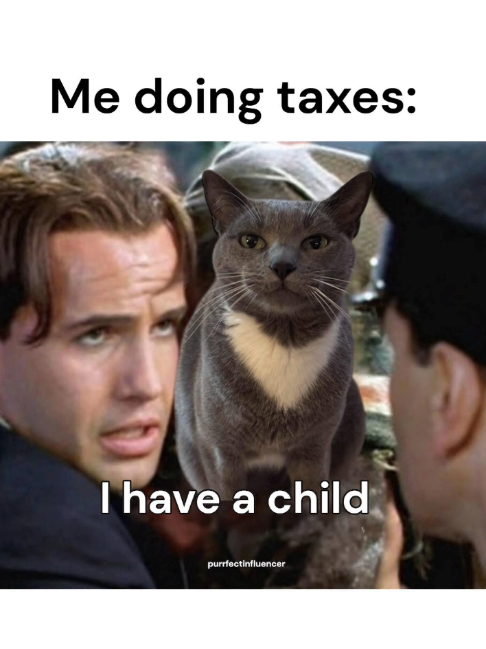 Me doing taxes: I have a child purrfectinfluencer