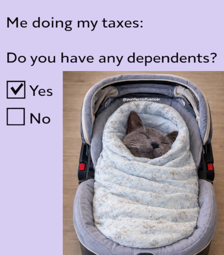 Me doing my taxes: Do you have any dependents? Yes ☐ No @purrfectinfluencer