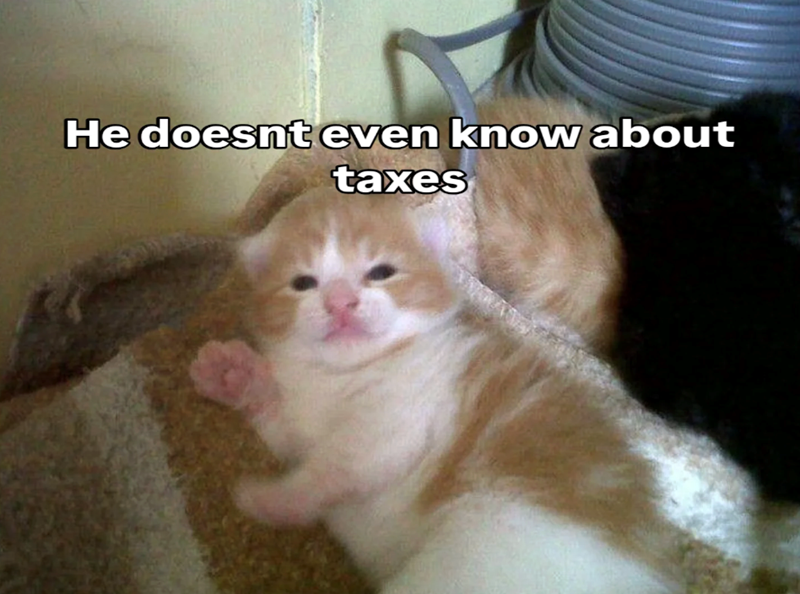 He doesnt even know about taxes