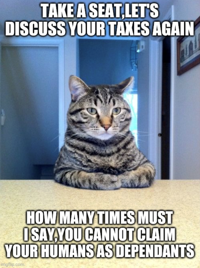 TAKE A SEAT,LET'S DISCUSS YOUR TAXES AGAIN HOW MANY TIMES MUST I SAY YOU CANNOT CLAIM YOUR HUMANS AS DEPENDANTS imgflip.com
