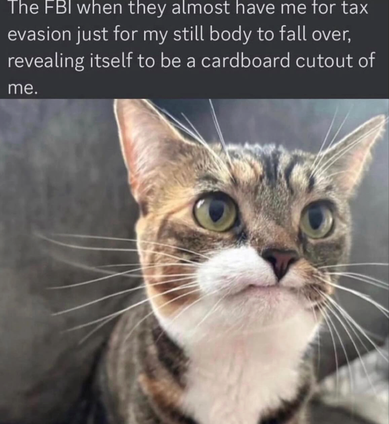 The FBI when they almost have me for tax evasion just for my still body to fall over, revealing itself to be a cardboard cutout of me.