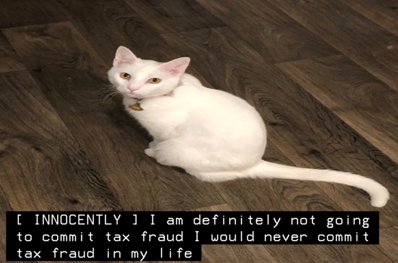 [ INNOCENTLY ] I am definitely not going to commit tax fraud I would never commit tax fraud in my life