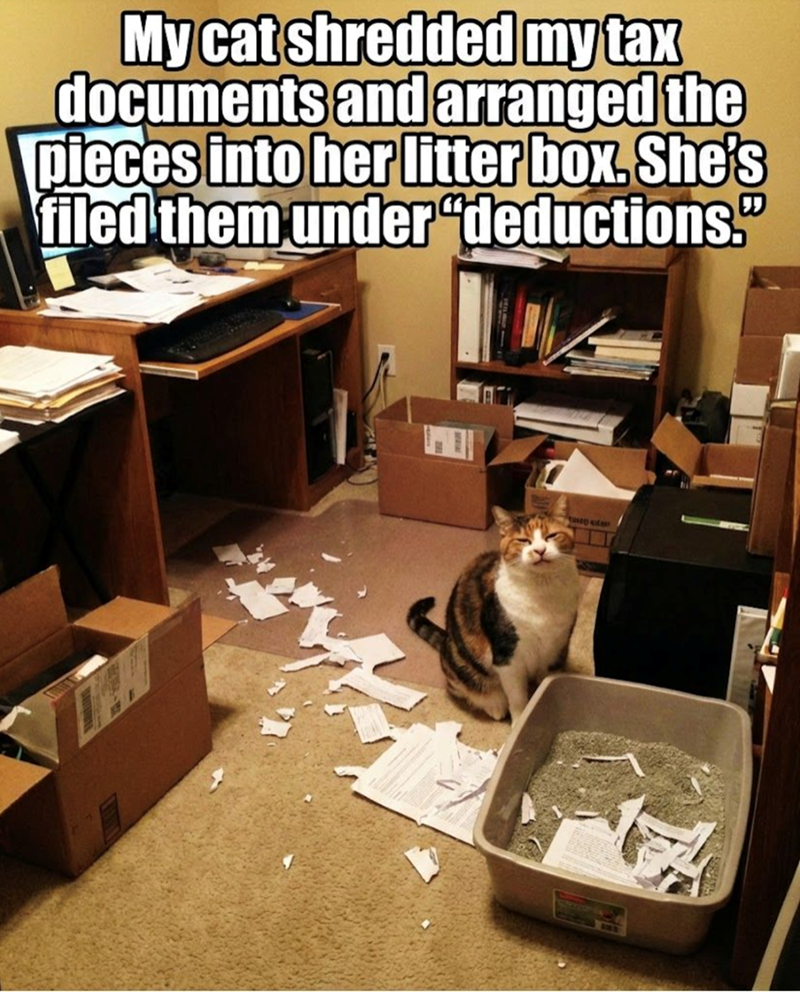 My cat shredded my tax documents and arranged the pieces into her litter box. She's filed them under "deductions." asey