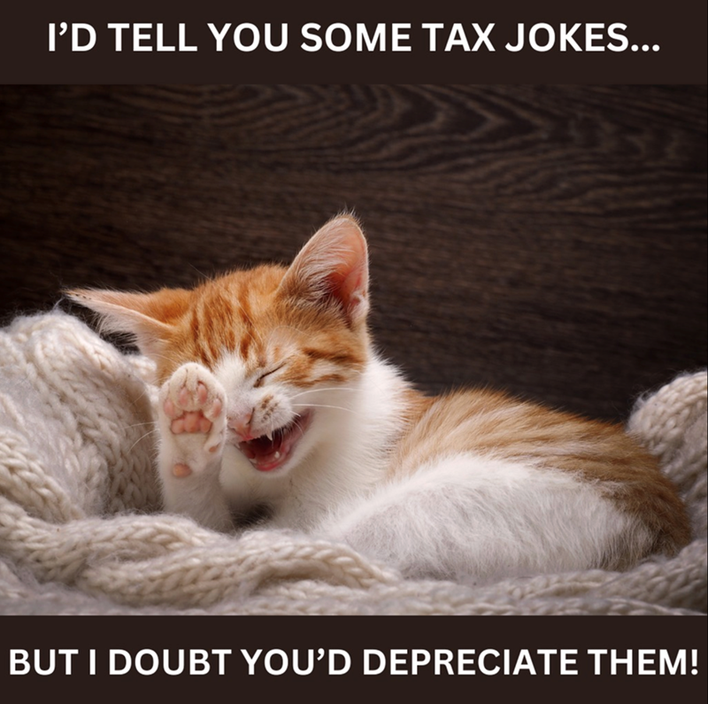 I'D TELL YOU SOME TAX JOKES... BUT I DOUBT YOU'D DEPRECIATE THEM!
