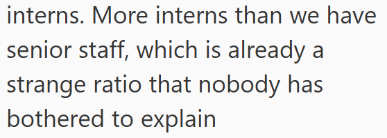 interns. More interns than we have senior staff, which is already a strange ratio that nobody has bothered to explain