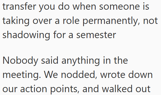 transfer you do when someone is taking over a role permanently, not shadowing for a semester Nobody said anything in the meeting. We nodded, wrote down our action points, and walked out