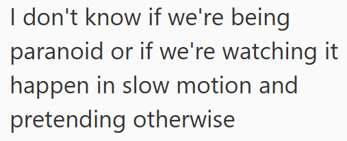 I don't know if we're being paranoid or if we're watching it happen in slow motion and pretending otherwise