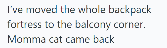 I've moved the whole backpack fortress to the balcony corner. Momma cat came back