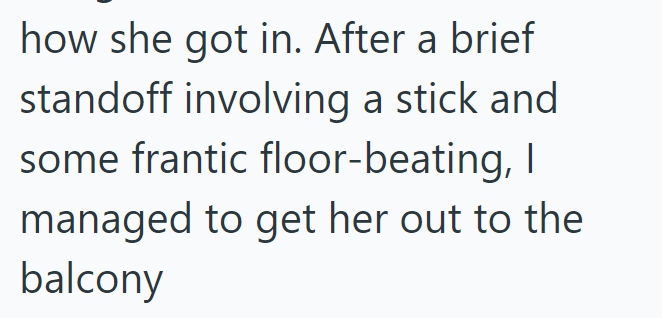 how she got in. After a brief standoff involving a stick and some frantic floor-beating, I managed to get her out to the balcony