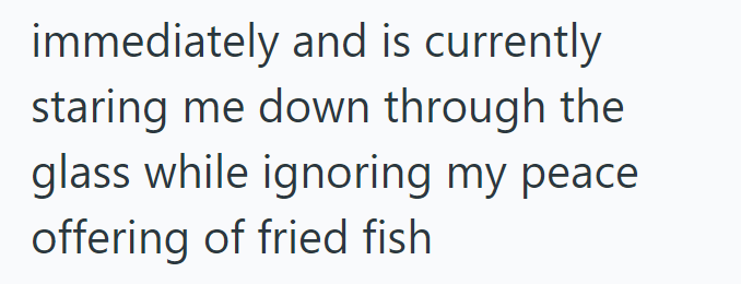 immediately and is currently staring me down through the glass while ignoring my peace offering of fried fish