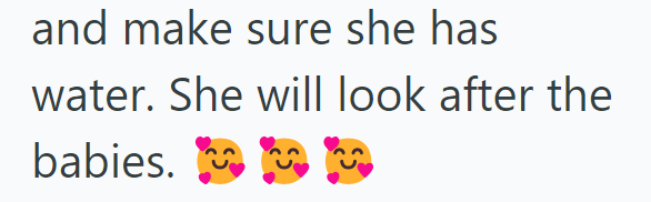 and make sure she has water. She will look after the babies.