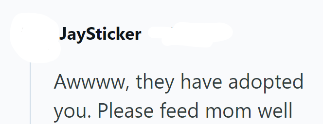 JaySticker Awwww, they have adopted you. Please feed mom well