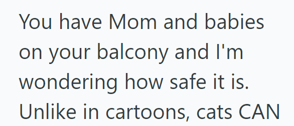 You have Mom and babies on your balcony and I'm wondering how safe it is. Unlike in cartoons, cats CAN