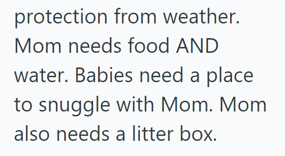 protection from weather. Mom needs food AND water. Babies need a place to snuggle with Mom. Mom also needs a litter box.