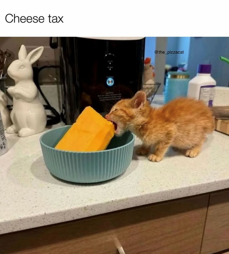 Cheese tax @the_pizzacat