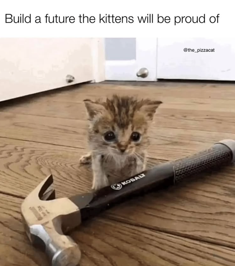 Build a future the kittens will be proud of KOBALT @the_pizzacat