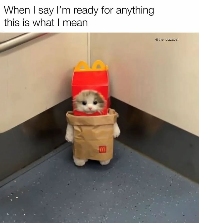When I say I'm ready for anything this is what I mean m @the_pizzacat