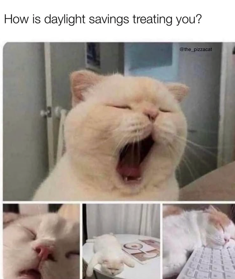 How is daylight savings treating you? @the_pizzacat L