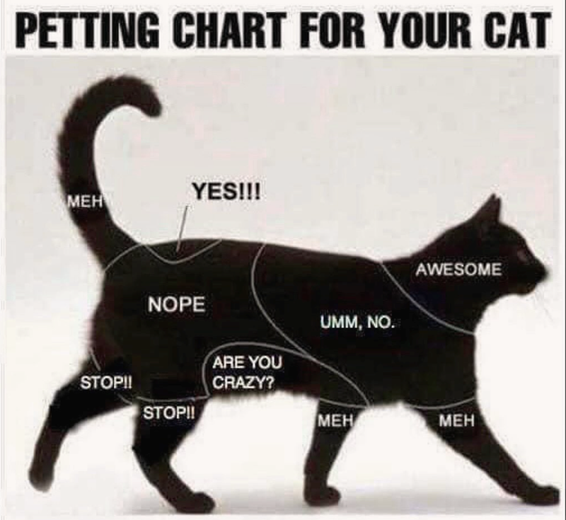 PETTING CHART FOR YOUR CAT YES!!! MEH NOPE ARE YOU UMM, NO. STOP!! CRAZY? STOP!! AWESOME MEH MEH