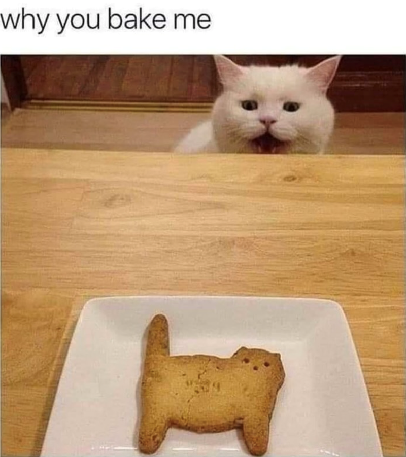 why you bake me