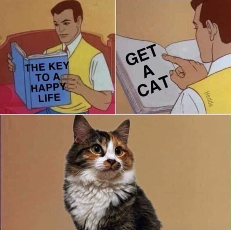 THE KEY TO A HAPPY LIFE GET A CAT Hedda