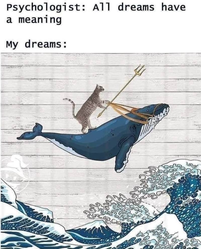 Psychologist: All dreams have a meaning My dreams: