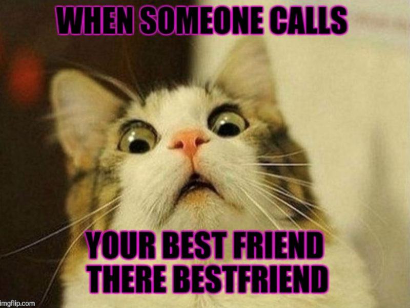 WHEN SOMEONE CALLS YOUR BEST FRIEND THERE BESTFRIEND imgflip.com