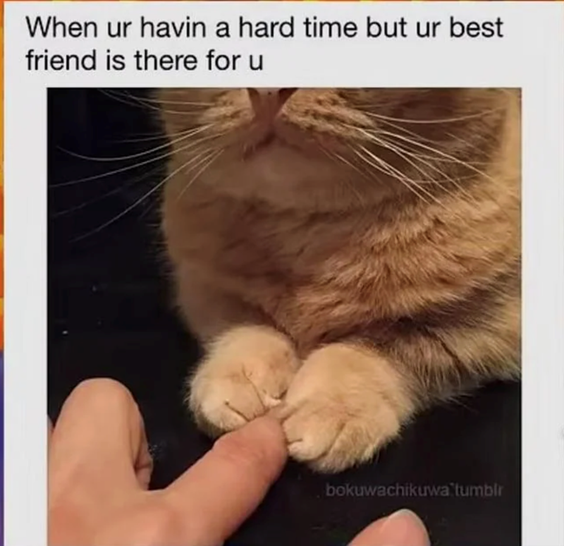 When ur havin a hard time but ur best friend is there for u bokuwachikuwa tumblr