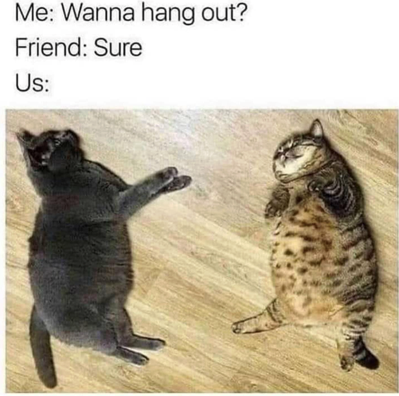 Me: Wanna hang out? Friend: Sure Us: