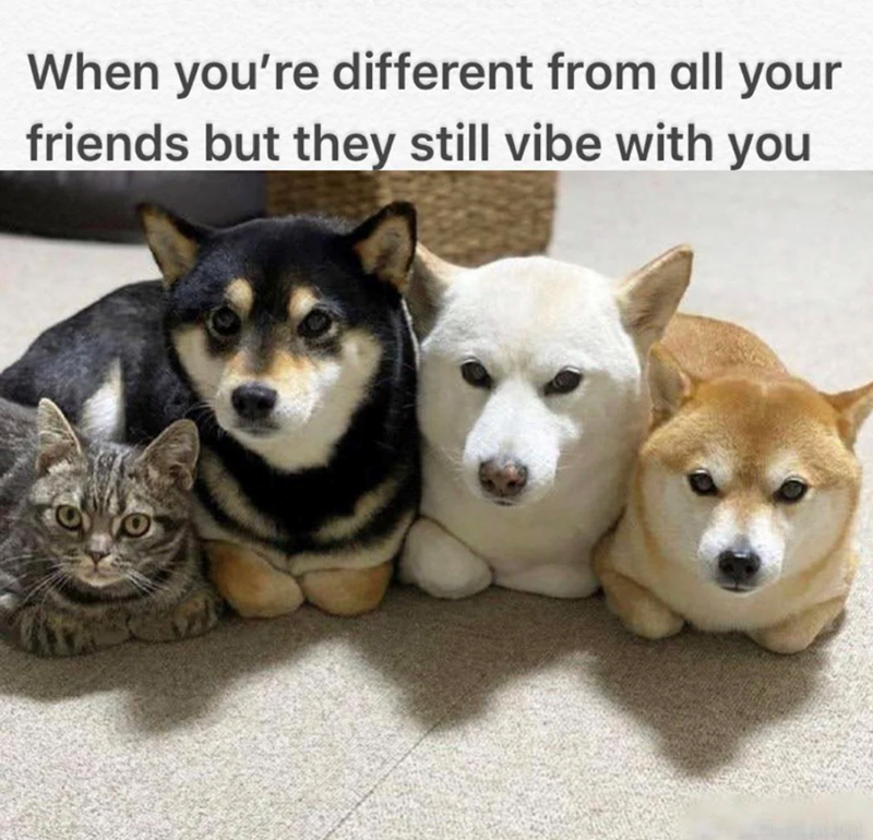 When you're different from all your friends but they still vibe with you