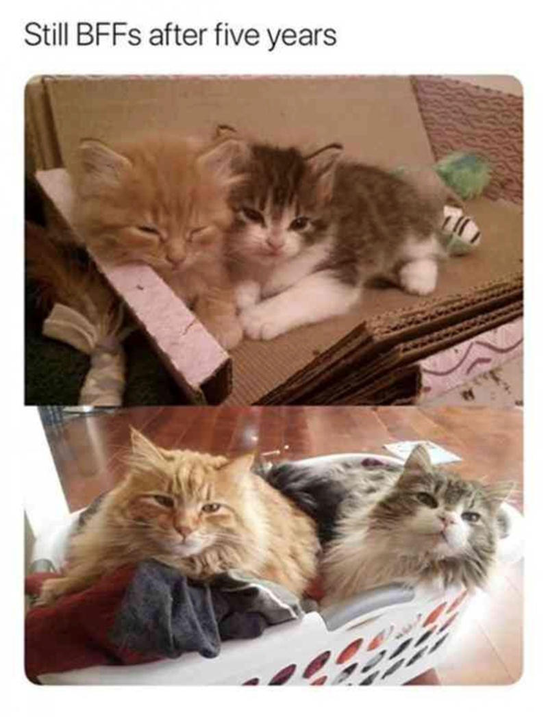 Still BFFs after five years