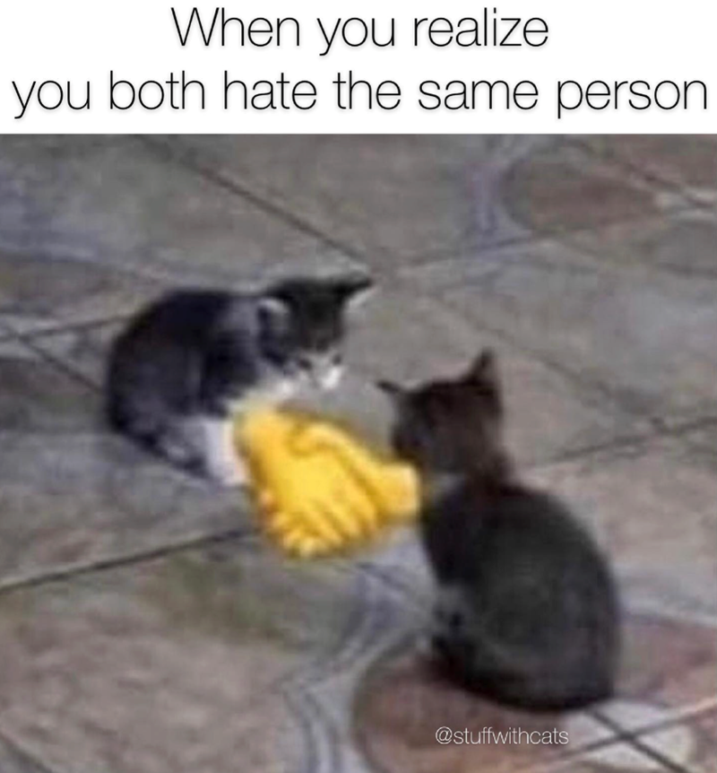 When you realize you both hate the same person @stuffwithcats