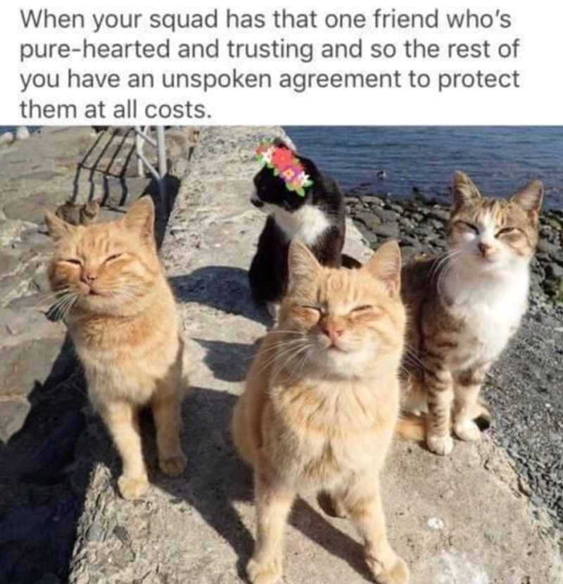 When your squad has that one friend who's pure-hearted and trusting and so the rest of you have an unspoken agreement to protect them at all costs.