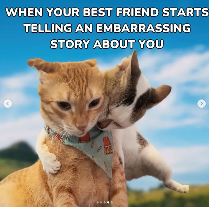 < WHEN YOUR BEST FRIEND STARTS TELLING AN EMBARRASSING STORY ABOUT YOU >