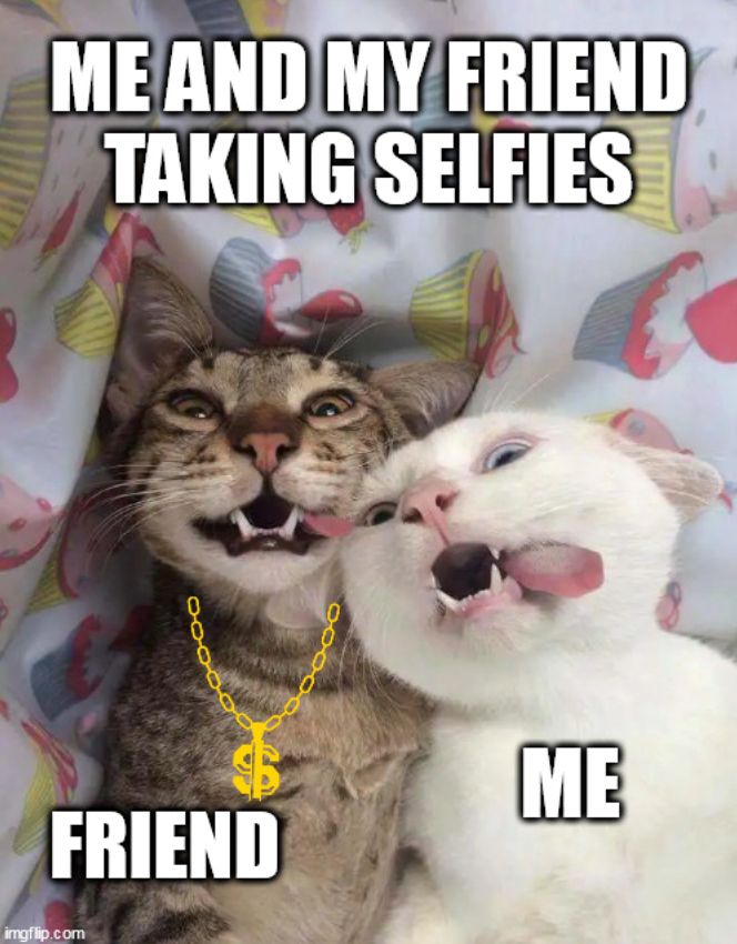 ME AND MY FRIEND TAKING SELFIES 000000 10000 FRIEND imgflip.com ME
